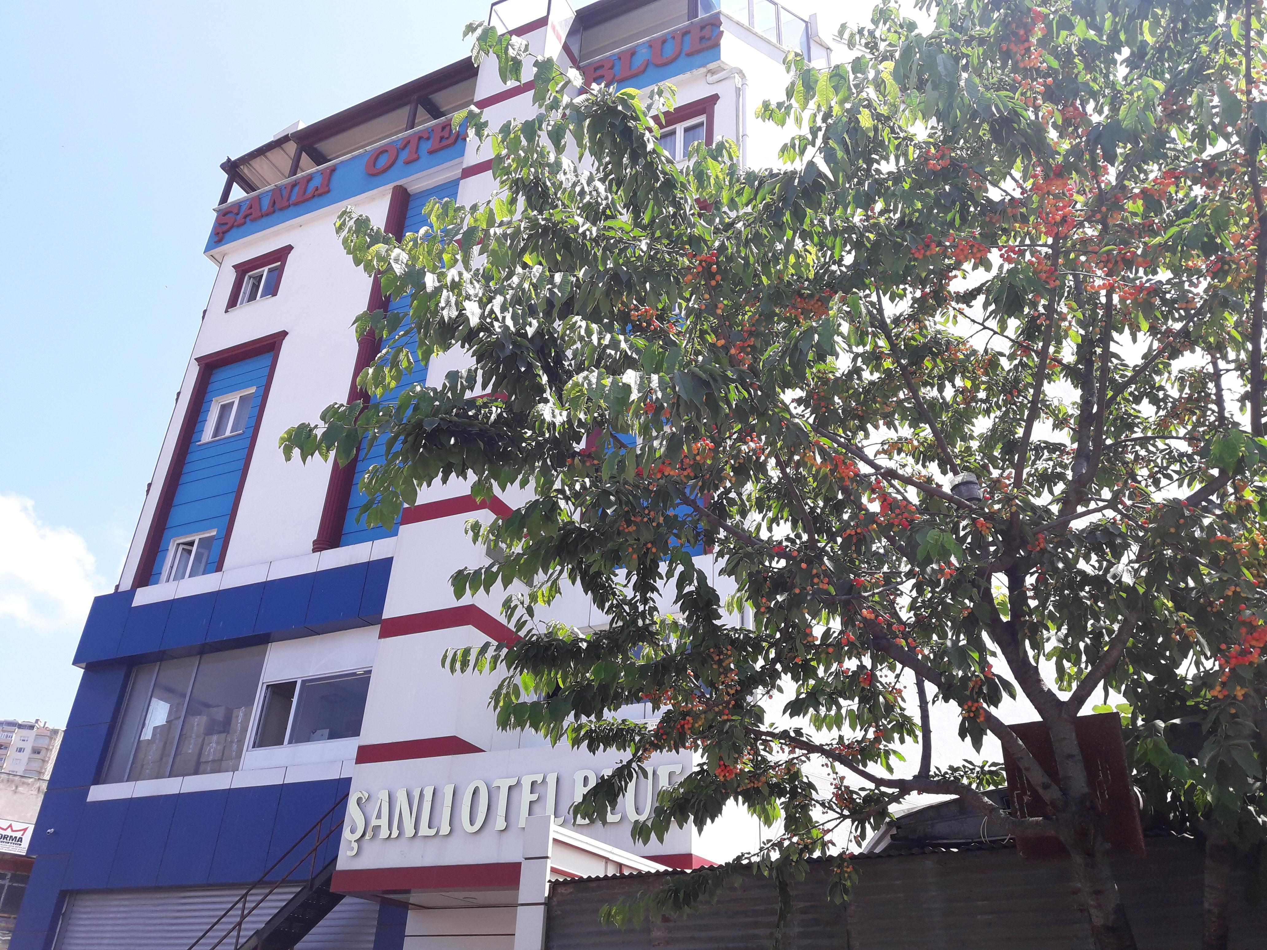 Sanli Hotel Blue Трабзон Екстериор снимка